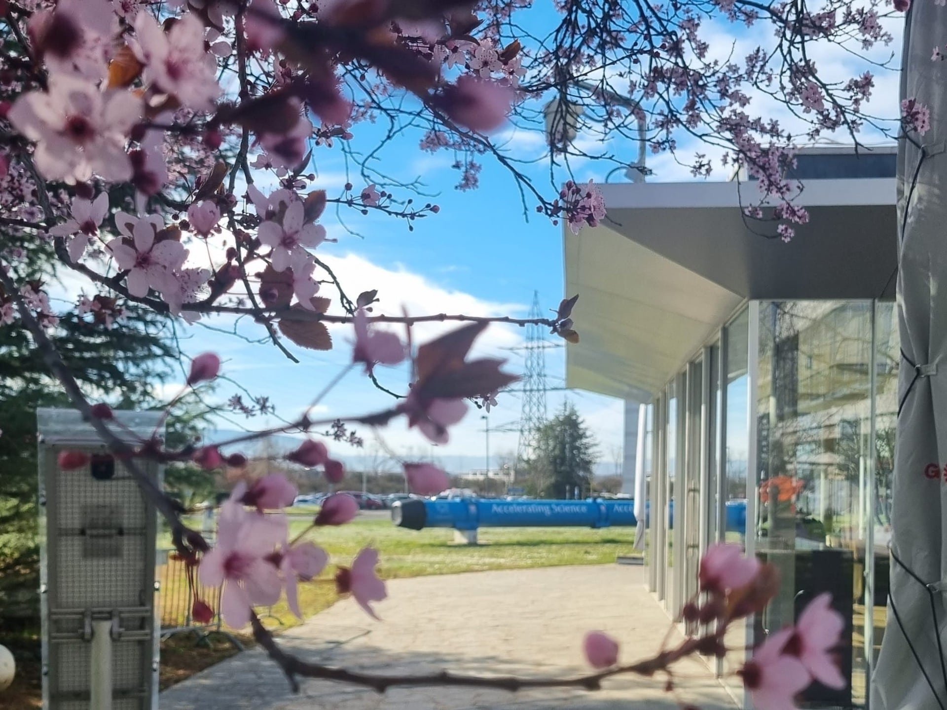 Blossom at CERN with the restaurant and blue dipole magnet in the background